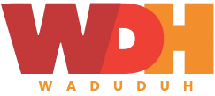Waduduh Technologies logo